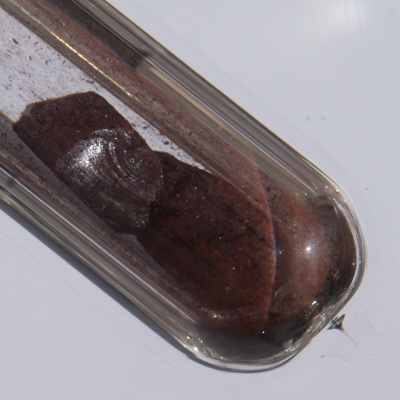 Photo of the element: Phosphorus (P)