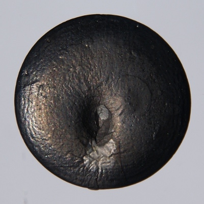 Photo of the element: Selenium (Se)