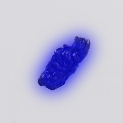 Photo of the element: Mendelevium (Md)